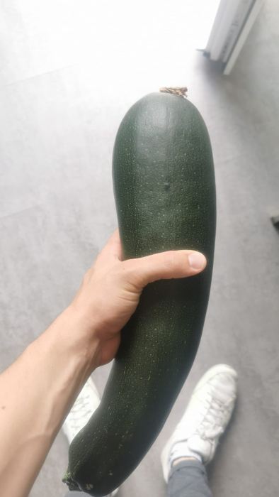 Die selbstgezüchtete Zucchini